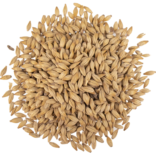 Malt - Viking Malt Caramel 30 (10L) - Per Lb (Showroom Only)