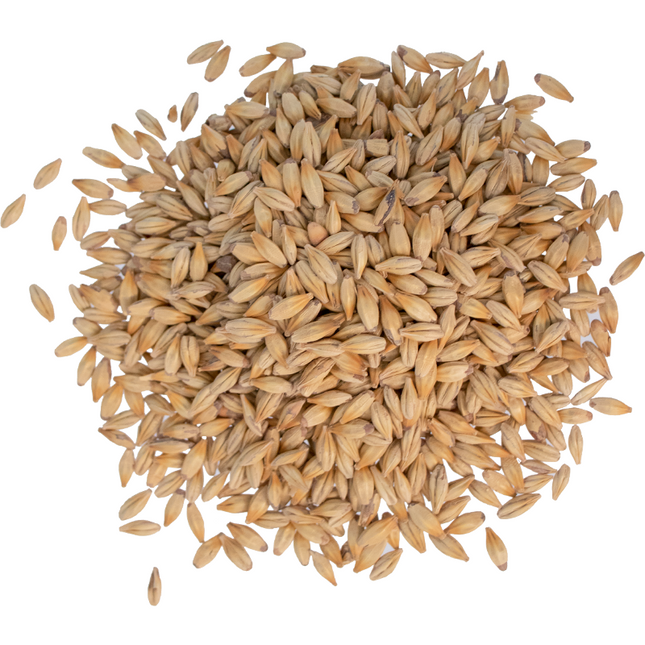 Malt - Viking Malt Caramel 50 (20L) - Per Lb (Showroom Only)