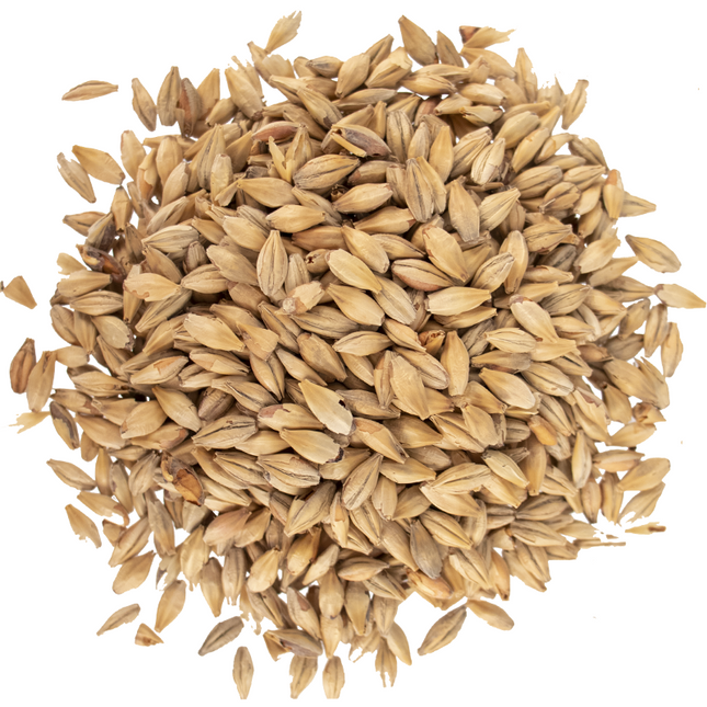 Malt - Viking Malt Red Ale - Per Lb (Showroom Only)