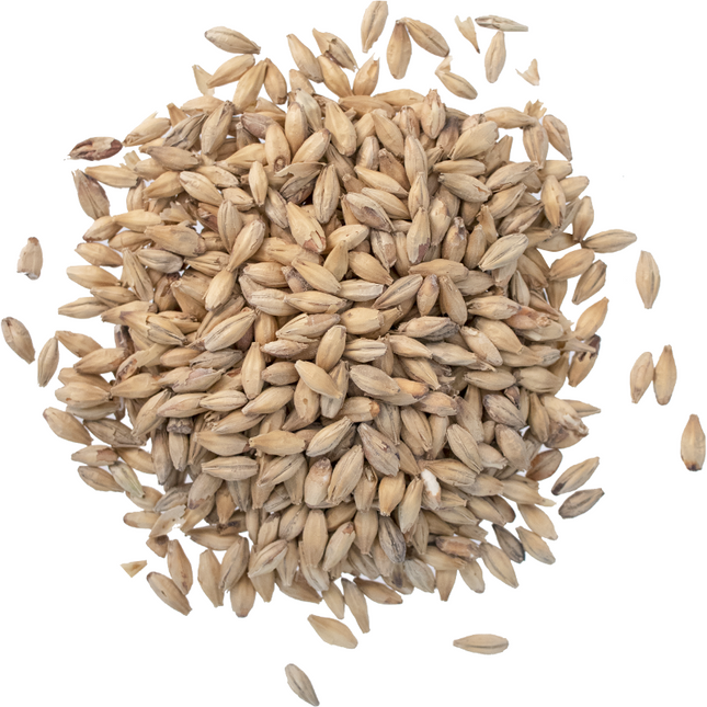 Malt - Viking Malt Munich Light - Per Lb (Showroom Only)