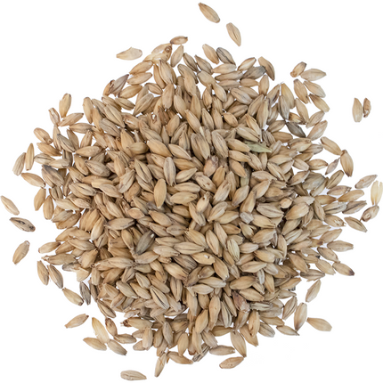 Malt - Viking Malt Enzyme - Per Lb (Showroom Only)