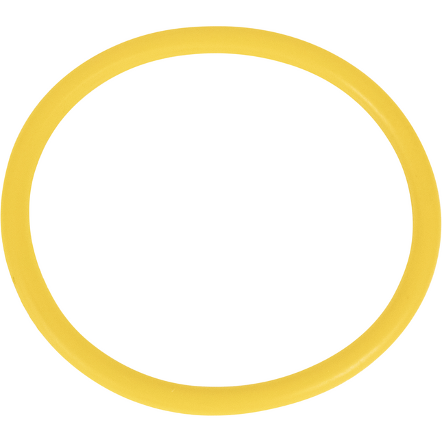 Torpedo Keg - 15 Gal - Low2 O-ring