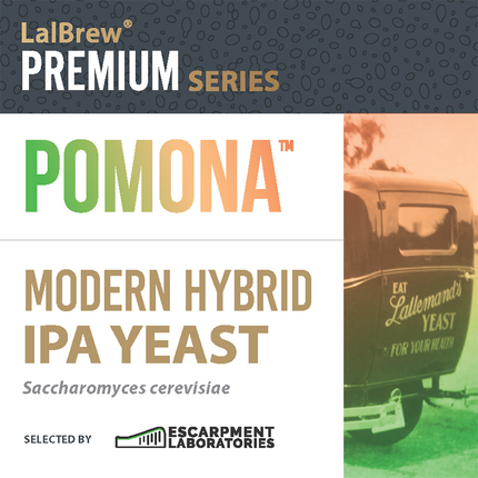 Lallemand Dry Yeast - Pomona - PLACEHOLDER