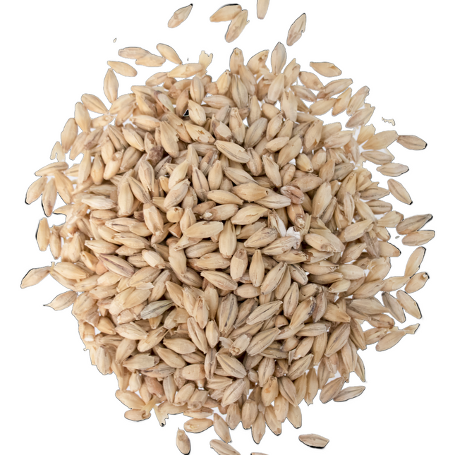 Malt - German Pilsner - Per Lb (Showroom Only)