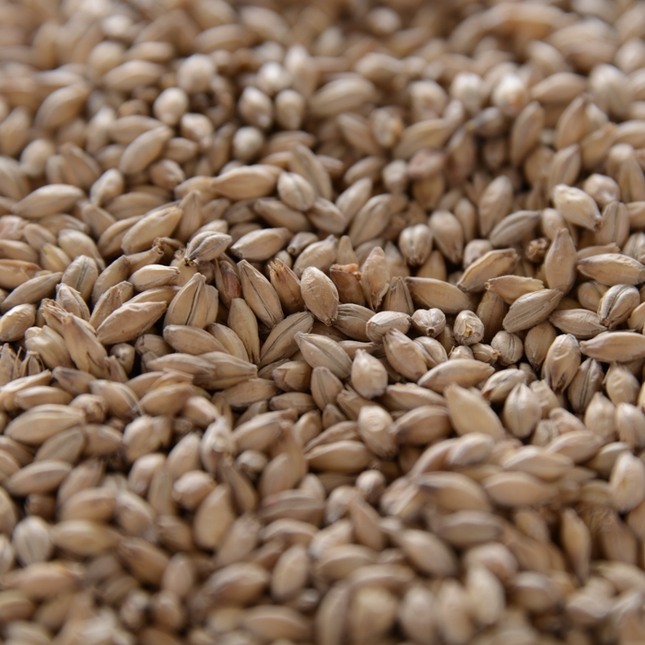 Malt - Crisp - Chevallier Heritage - Per Lb (Showroom Only)