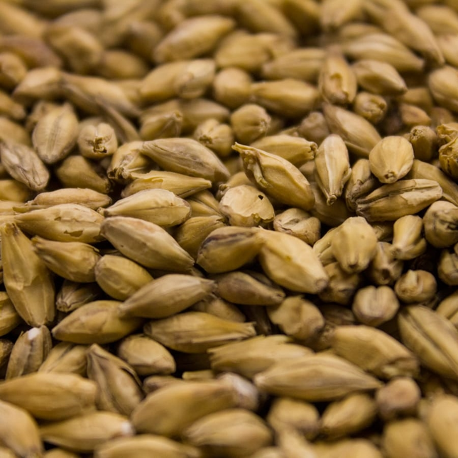 Malt - Weyermann - Barke Pilsner - Per Lb (Showroom Only)