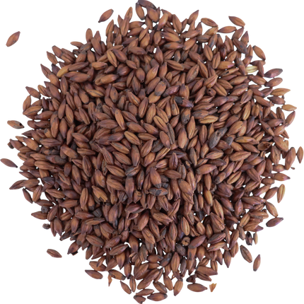 Malt - Viking Malt Chocolate - Per Lb (Showroom Only)