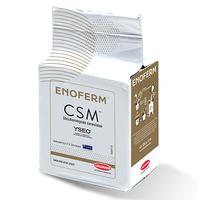 Dry Wine Yeast - ENOFERM CSM (500 g)