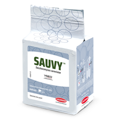 Dry Wine Yeast - SAUVY (500 g)