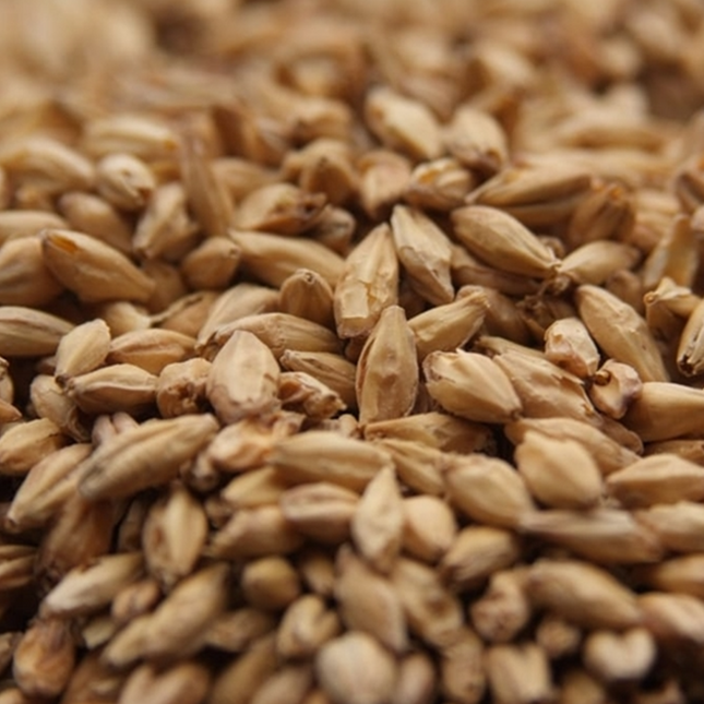 Malt - Rahr - Pale Ale - Per Lb (Showroom Only)