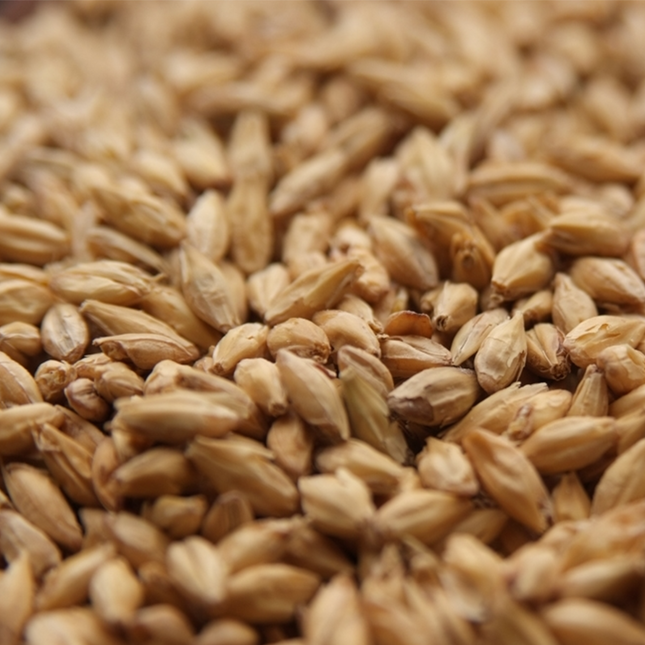 Malt - Rahr - GN Zero Distillers Malt - Per Lb (Showroom Only)