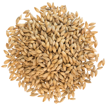 Malt - Viking Malt - 2-Row Xtra Pale 3G (55 lb Sack) - Kansas Warehouse Only - SALE!!!
