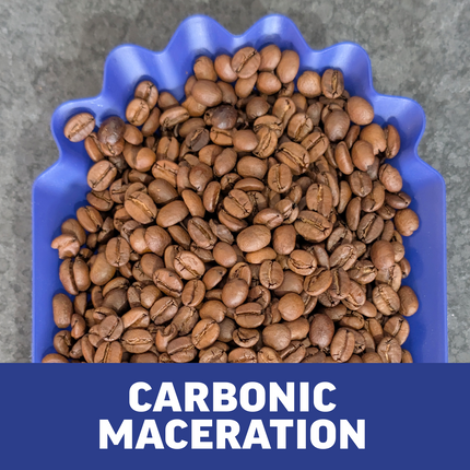 Single-Origin Reserve Series - Rwanda Kungahara, Carbonic Maceration - PLACEHOLDER