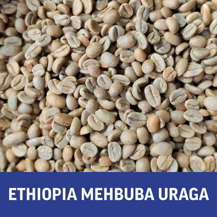 Regional Series - Ethiopia Mehbuba Uraga, Natural Processed - PLACEHOLDER