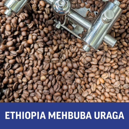 Regional Series - Ethiopia Mehbuba Uraga, Natural Processed - PLACEHOLDER