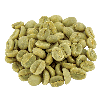 Regional Series - Ethiopia Sidama, Pulped Natural Processed - PLACEHOLDER