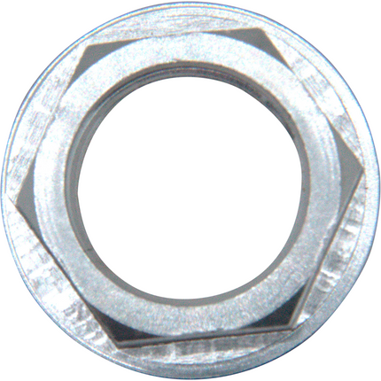 Stainless Steel Flanged Hex Nut for Draft Shanks