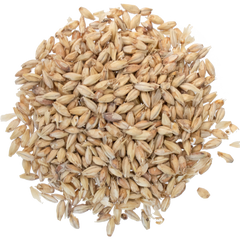 Malt - Goldpils Vienna - Per Lb (Showroom Only)