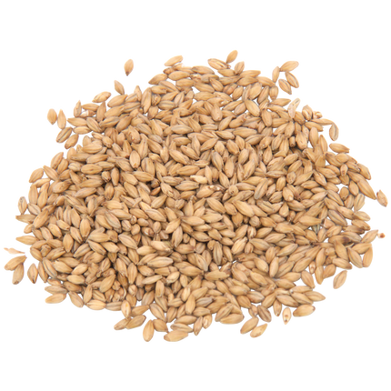 Malt - Rahr To Thee Pils - Per Lb (Showroom Only)