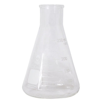 Erlenmeyer Flask - 250 ml