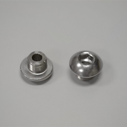 Replacement Level Gauge Screws set of 2