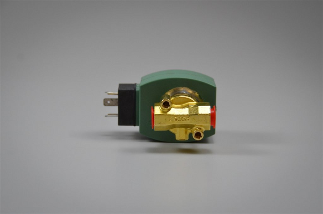 Solenoid valve - 120VAC, 1/4" NPT  keg washer