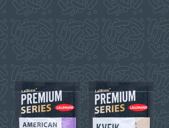 <h1>Lallemand Dry Yeast</h1>