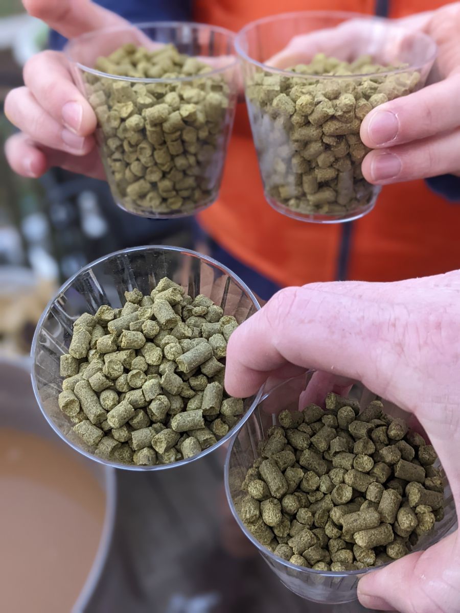 Exclusive Access – MoreBeer!