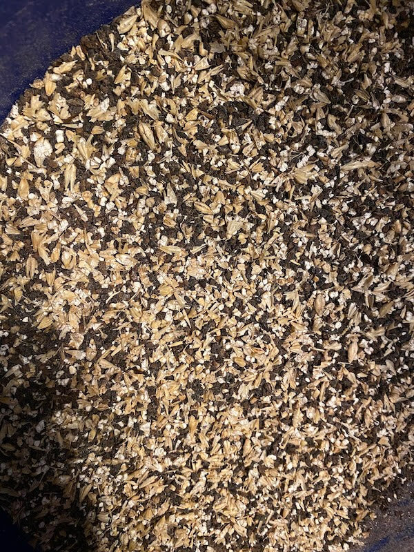 <h1>Brewing Grains</h1>